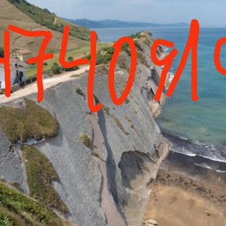 Apartamento Danae Centro Zumaia Dış mekan fotoğraf