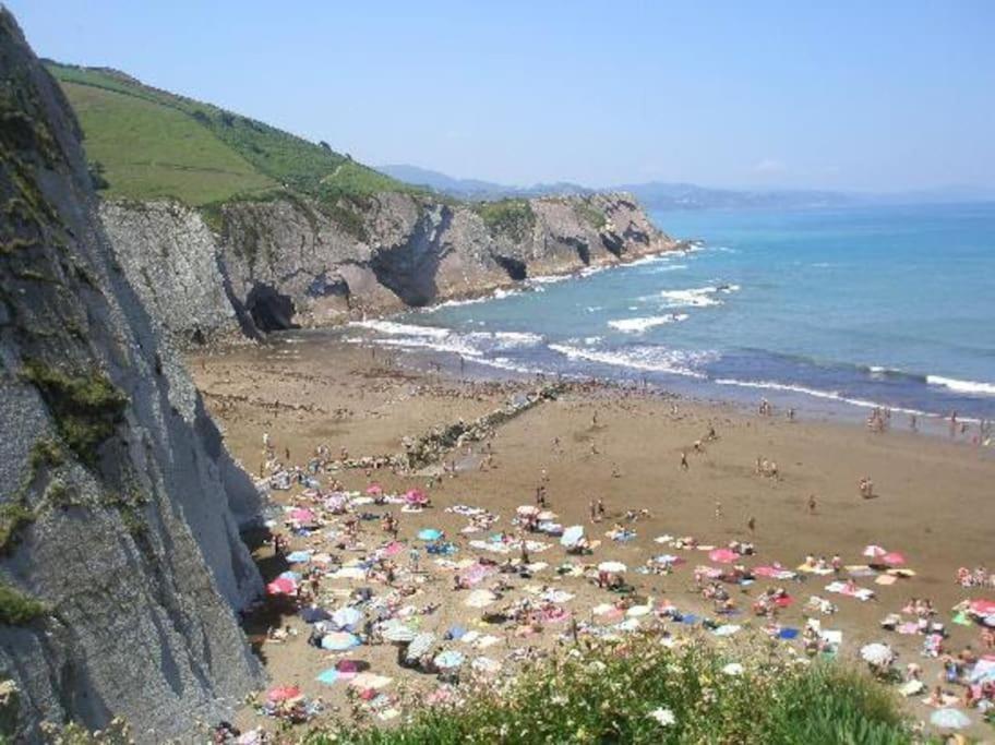 Apartamento Danae Centro Zumaia Dış mekan fotoğraf